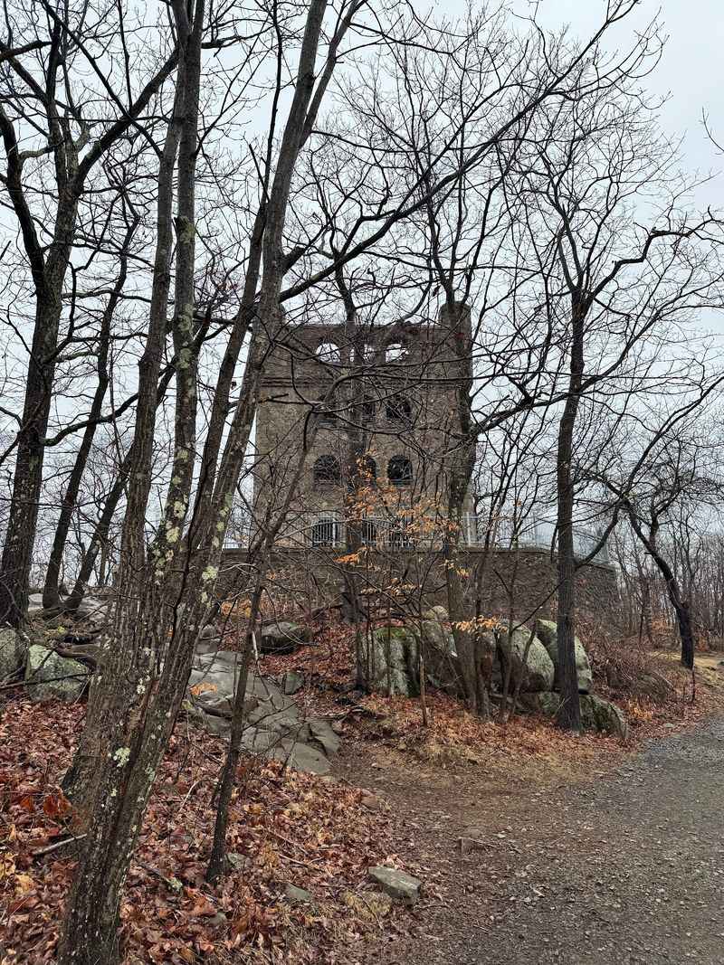 Nature Recovery Adds Meaning To The Walk