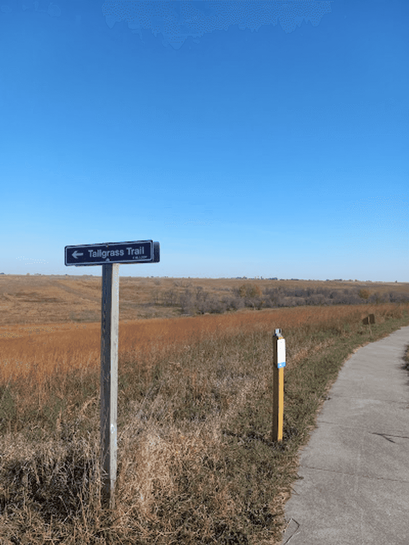 Why This Prairie Walk Stays With You