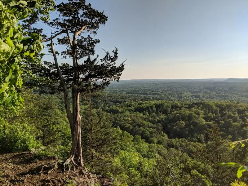 Metacomet Ridge Trails at Penwood State Park