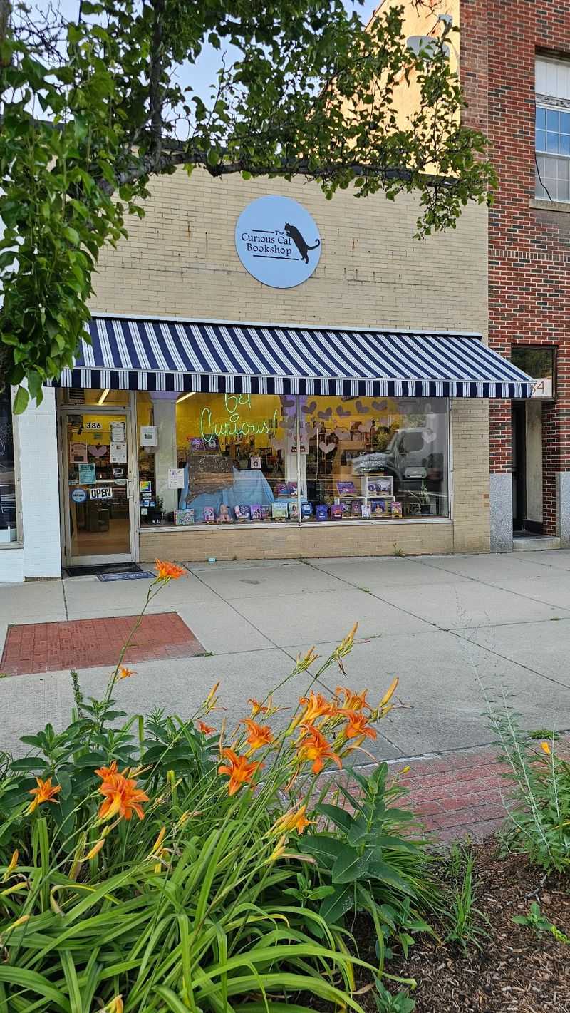 The Curious Cat Bookshop - Winsted