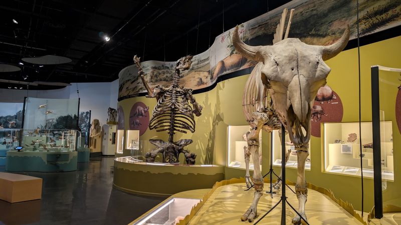 The Charleston Museum - Charleston