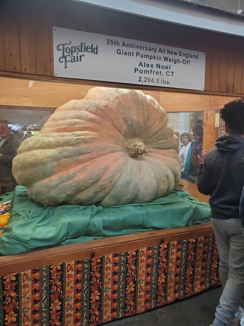Topsfield Fair: Old-Fashioned Fun, Giant Pumpkins