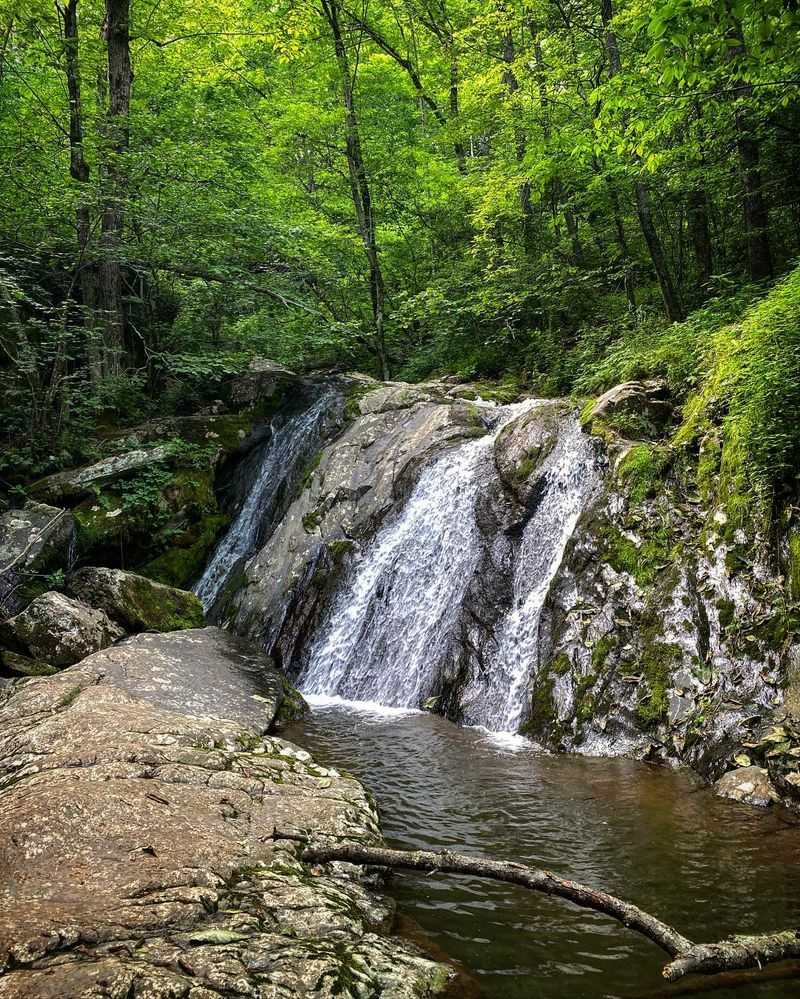 Jones Run Falls Trail - Crozet