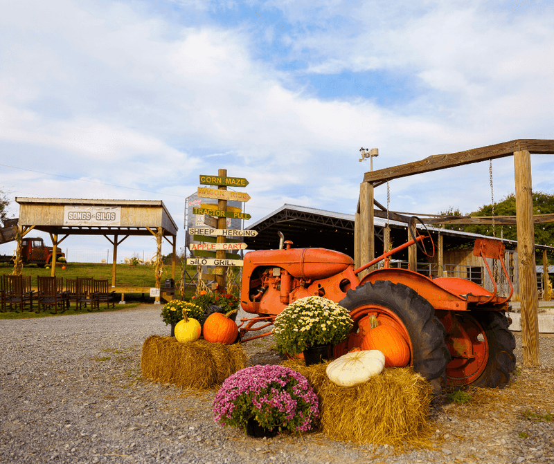 Cagle's Family Farm, Holly Springs, Cherokee County
