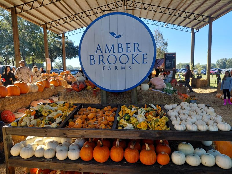 Amber Brooke Farms - Eustis