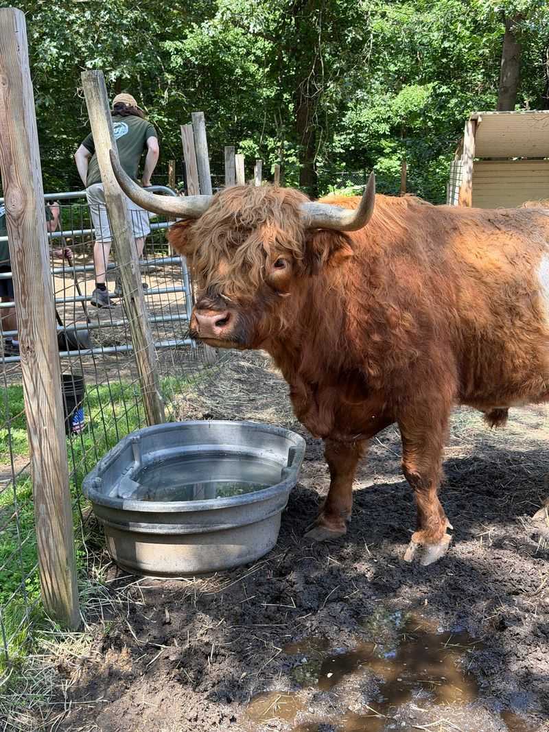 Animal Adventures Family Zoo and Rescue Center, Bolton, Worcester County