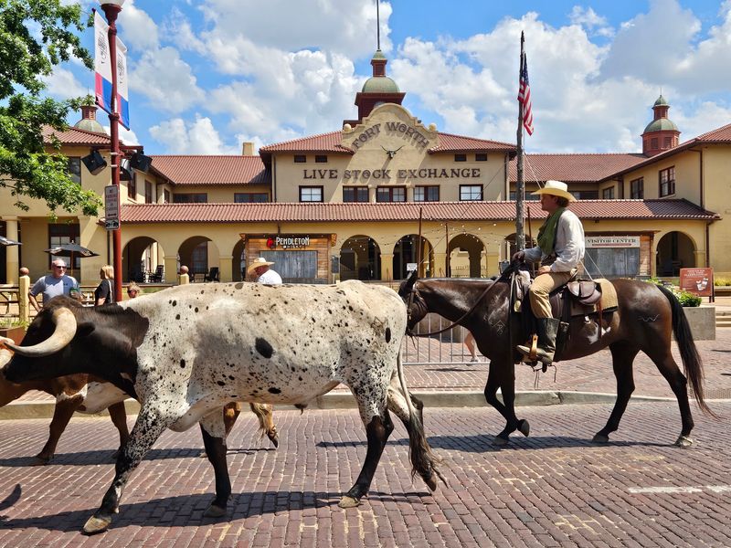 Fort Worth Stockyards