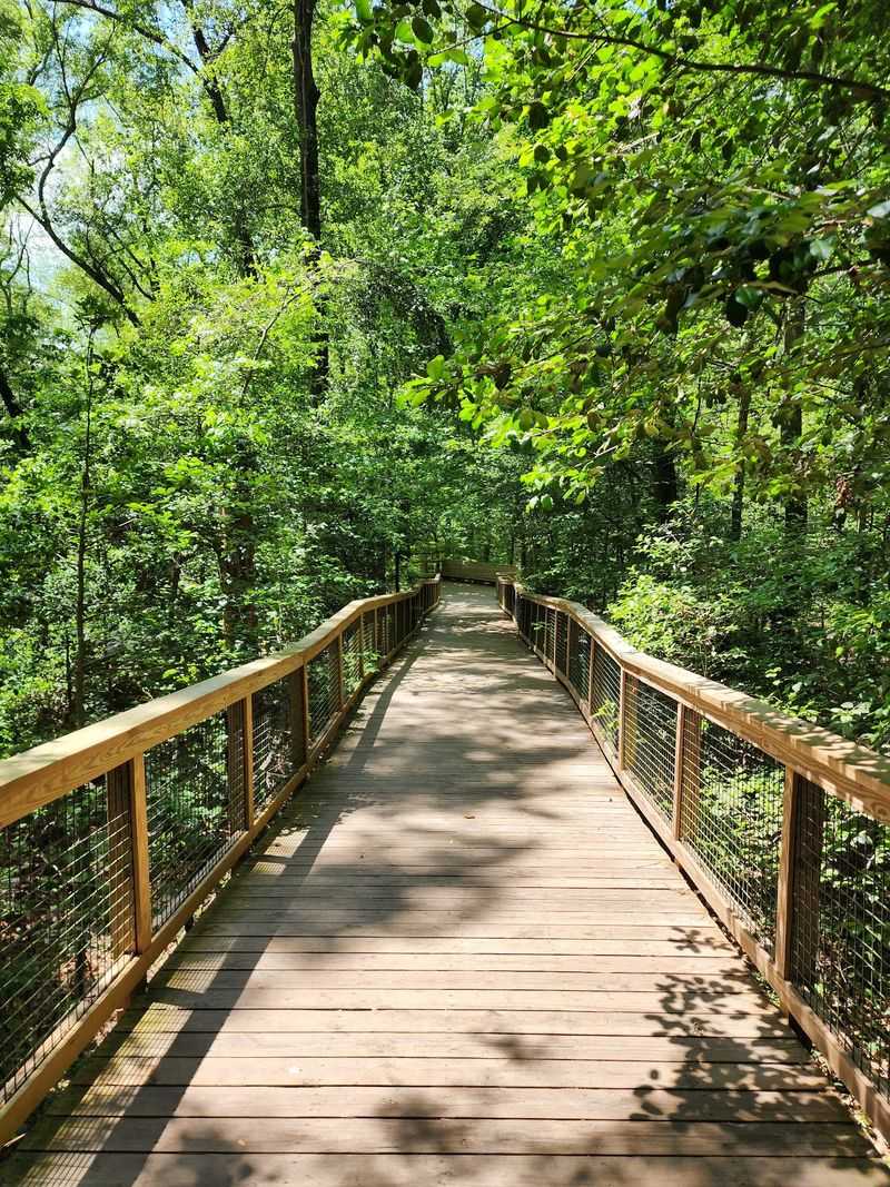 Boardwalk Loop Trail - Hopkins