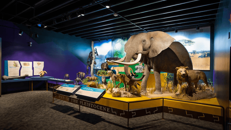 Museum of York County - Rock Hill