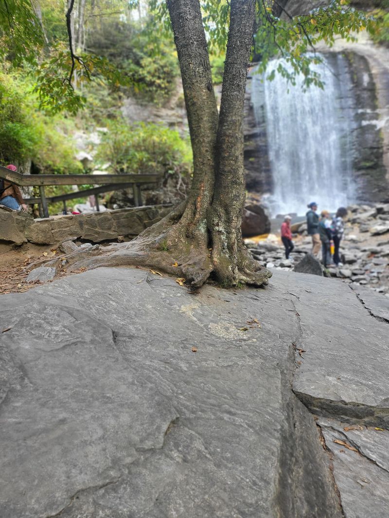 Chase Looking Glass Falls on the Forest Heritage Scenic Byway