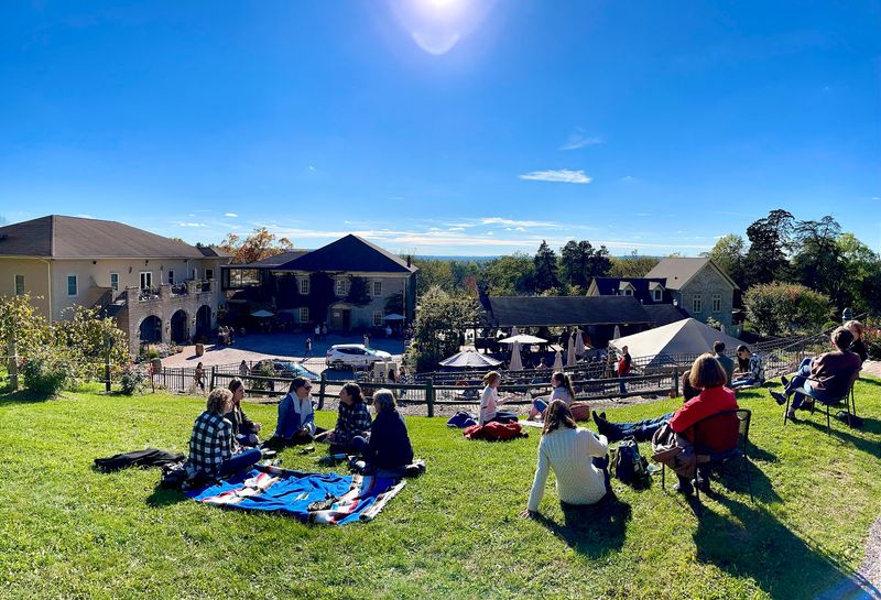 An Easy Afternoon in the Wine Garden