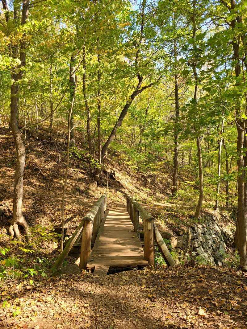 Woodland Trails With Room to Wander