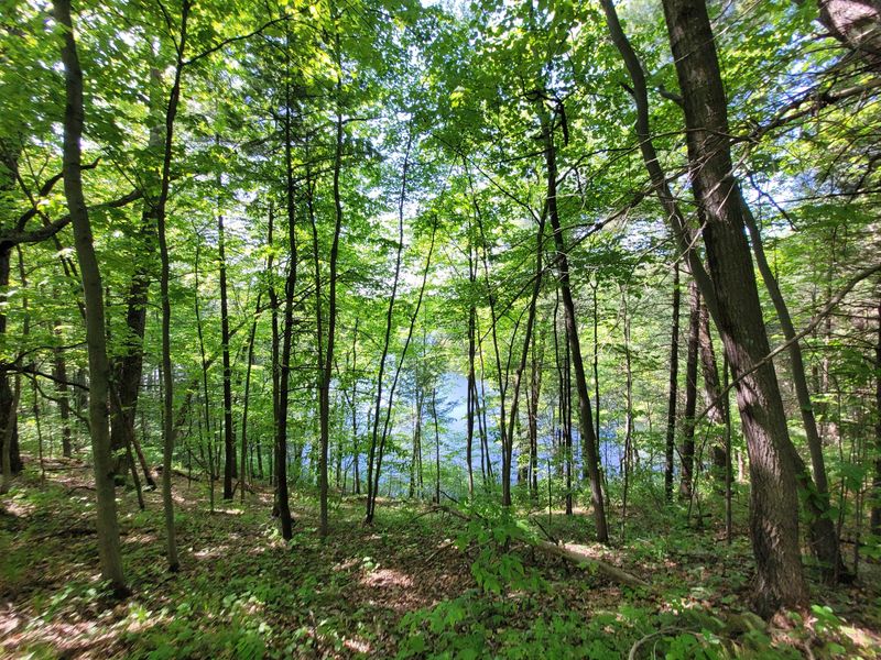 Ice Age National Scenic Trail - Chippewa Moraine State Recreation Area