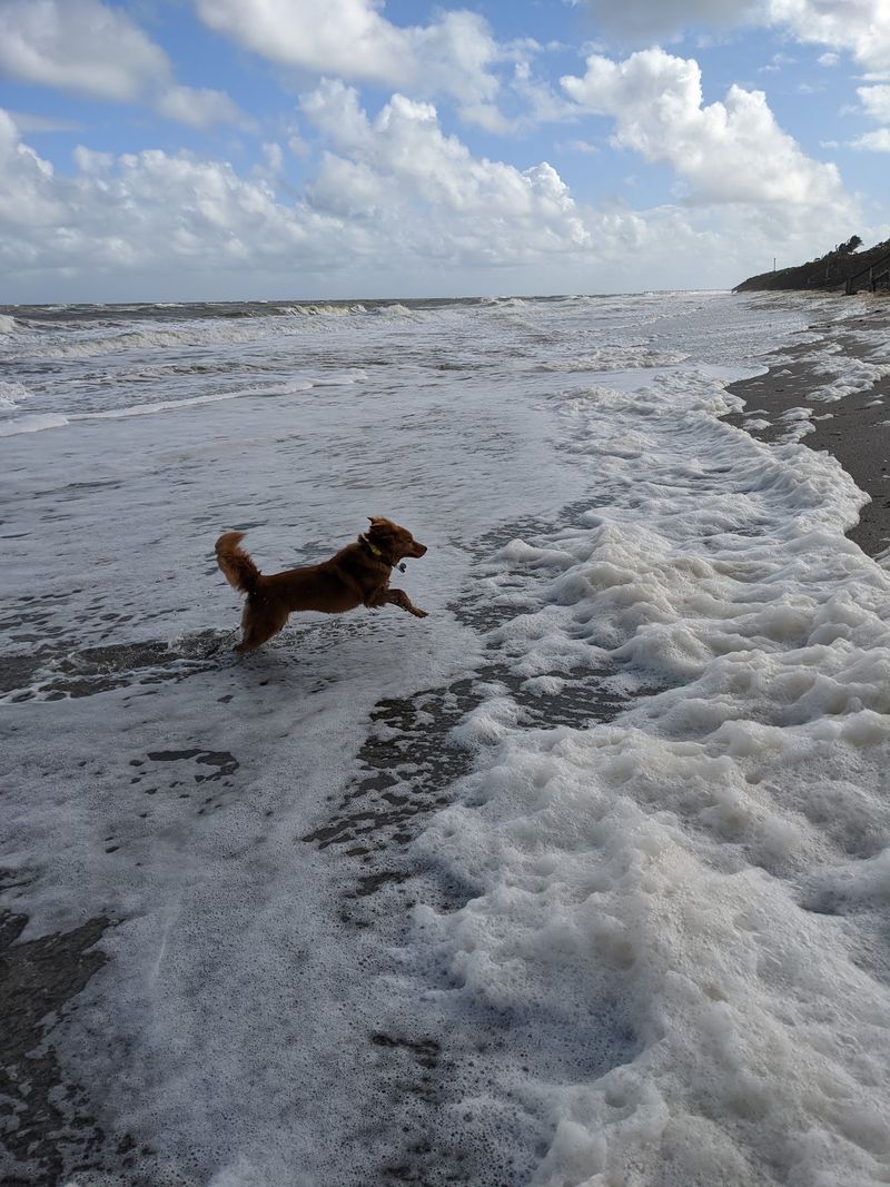 Jupiter Beach - Jupiter