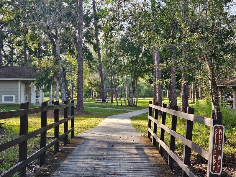 Highlands Hammock State Park