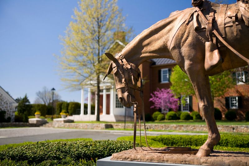 Horse Country with Boutique Style - Middleburg, Loudoun County