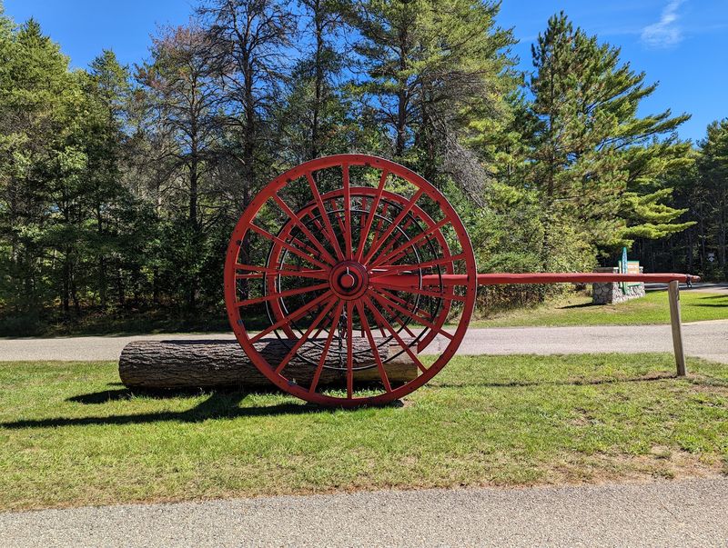 Towering survivors at Hartwick Pines State Park
