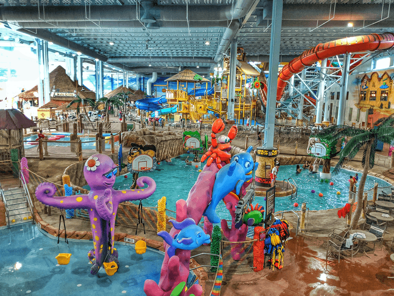 Let Little Kids Take Over Kid's Safari
