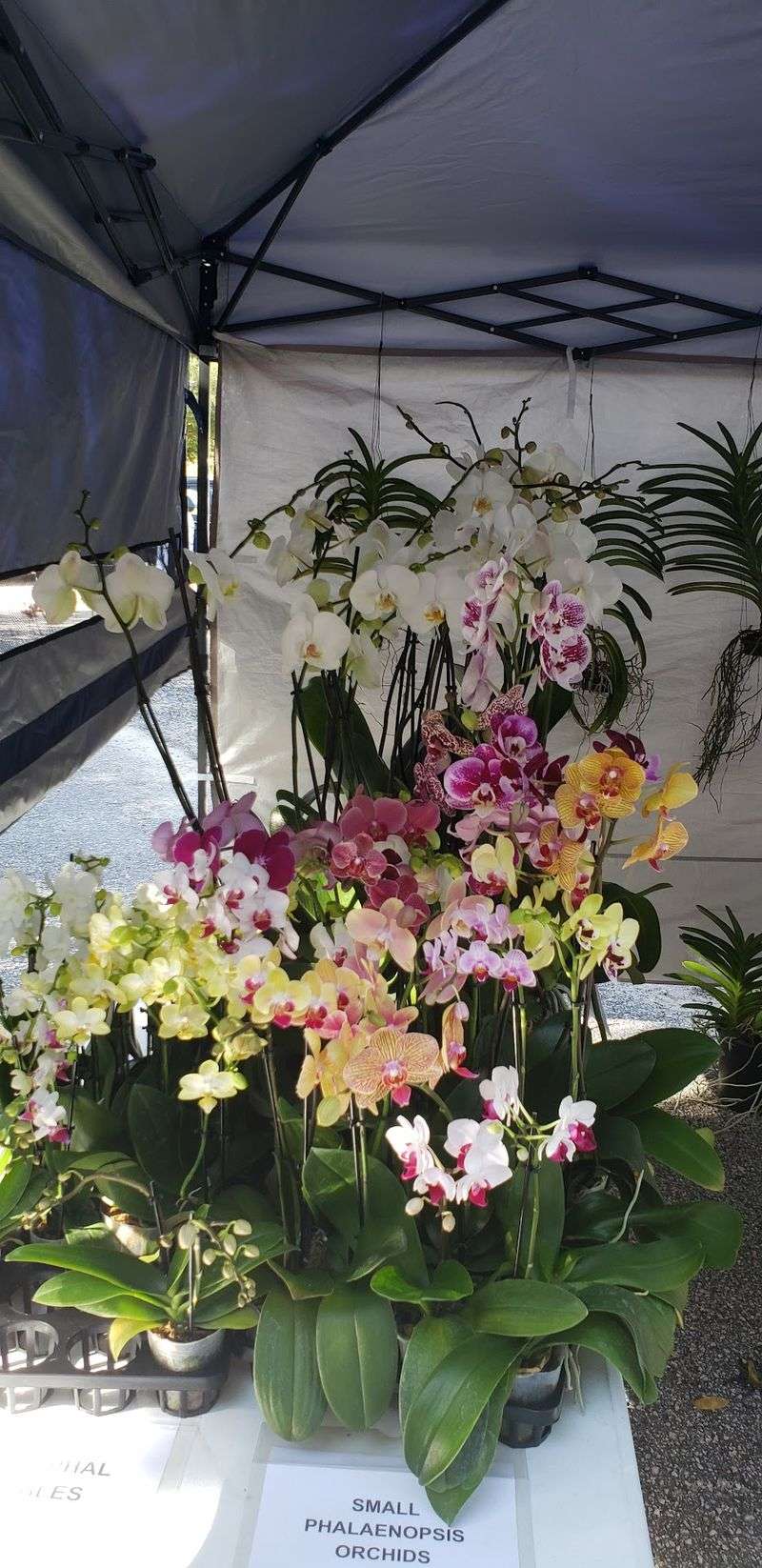 Look For Farm-Fresh Plants