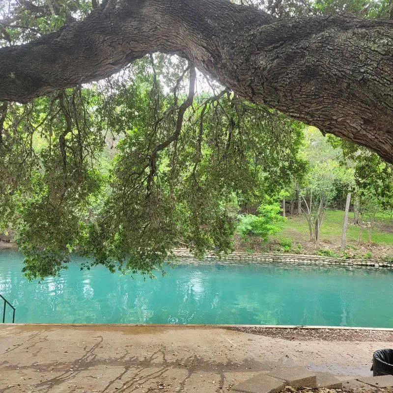 Ease Into The Crystal-Clear Comal River