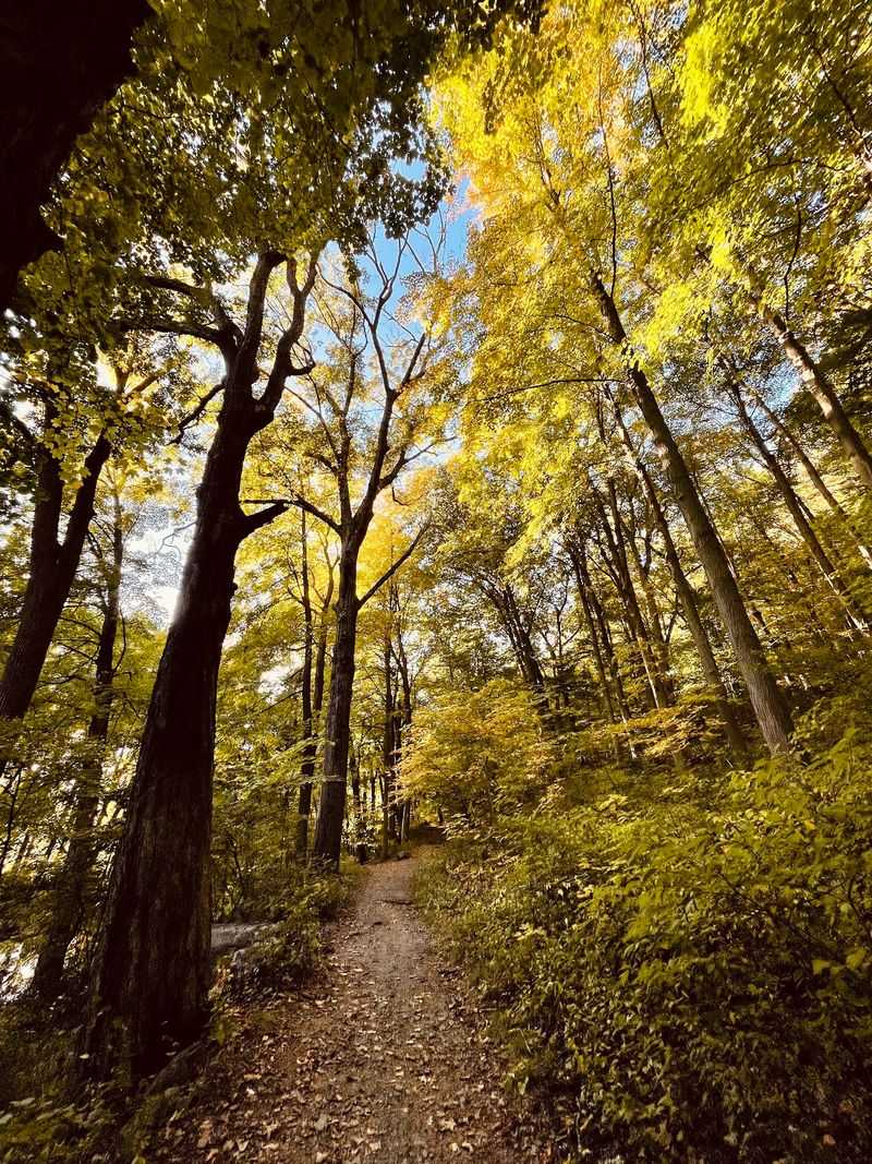 Choose a Walk That Fits Your Day