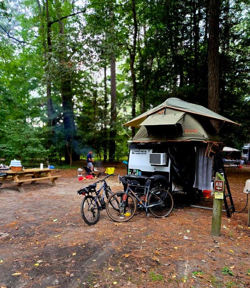 Make Room for a Picnic and Play