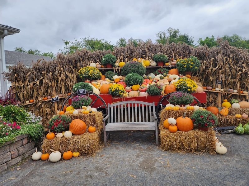 Make It a Seasonal Tradition With Special Fall Events