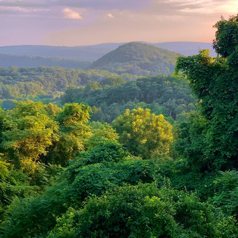 Soak Up the Views at Lovers Leap Overlook