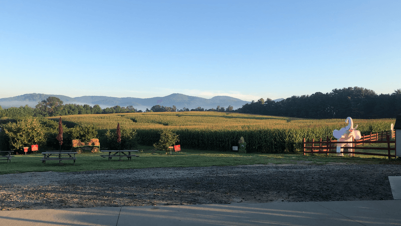 Grandad's Apples 'N Such - Hendersonville