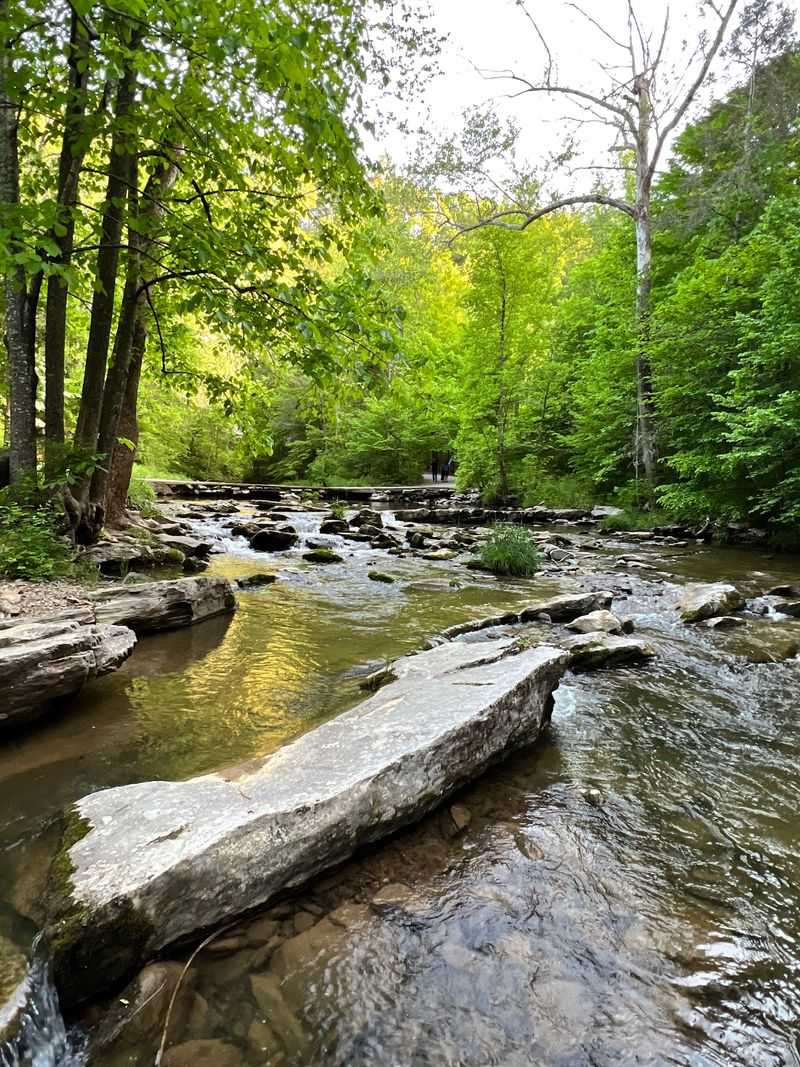 A Creekside Walk Beyond the Arch