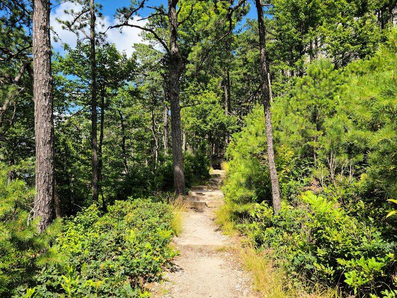 Pilot Mountain State Park - Pinnacle