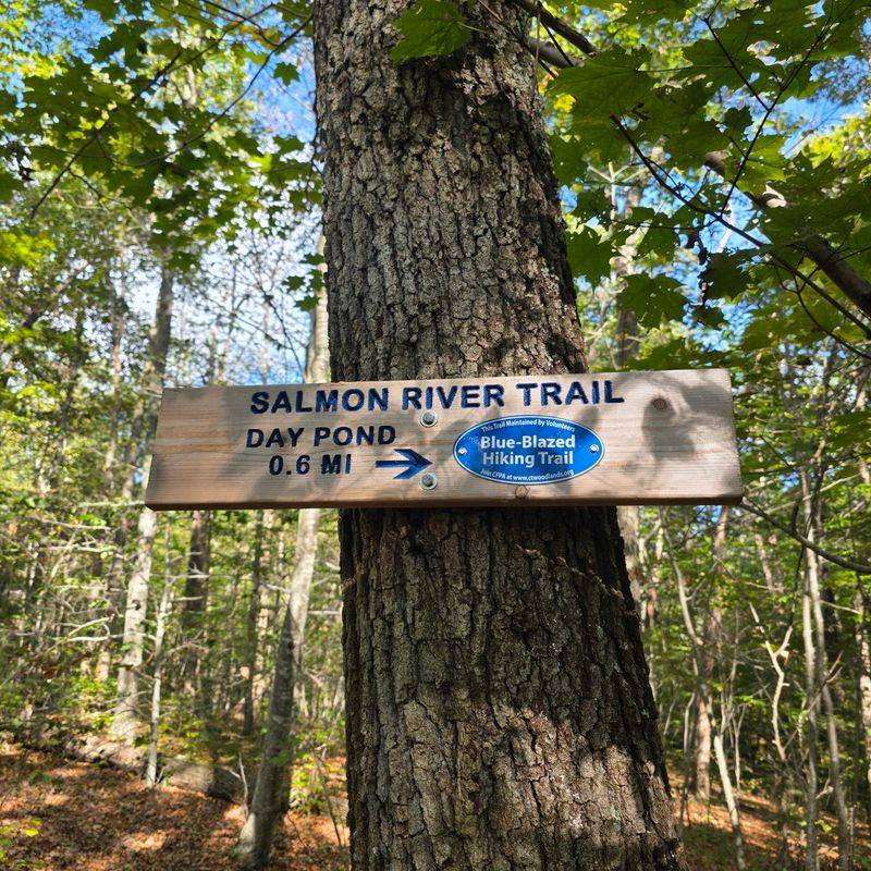 Hidden Pathways for Hikers Who Like a Little Mystery