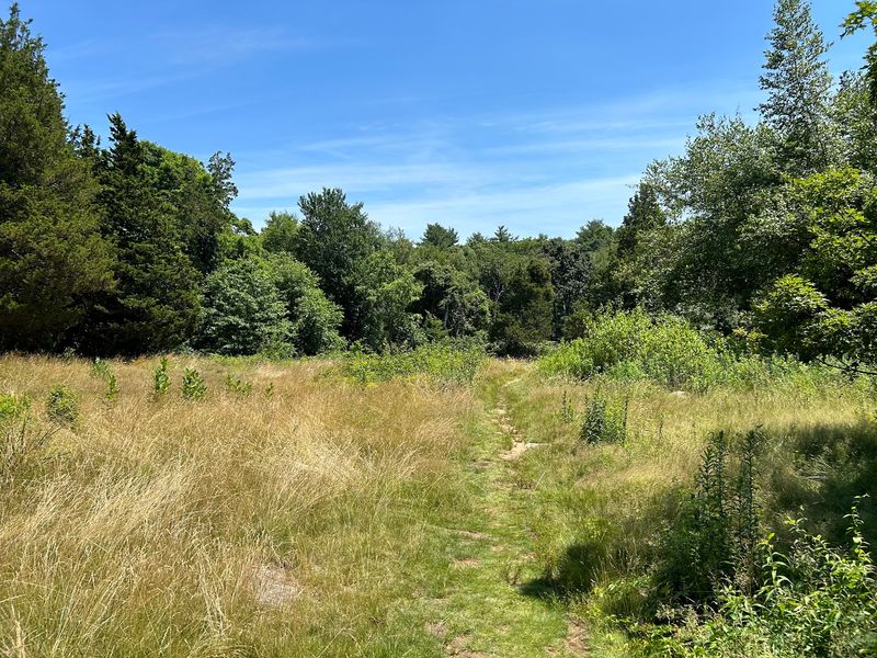 Turtle Pond Loop at Habitat Education Center - Belmont
