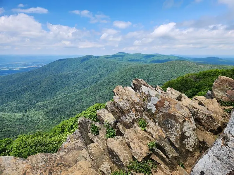 Bearfence Mountain Trail
