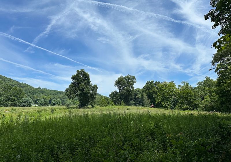 Discover A Landscape Shaped By Conservation