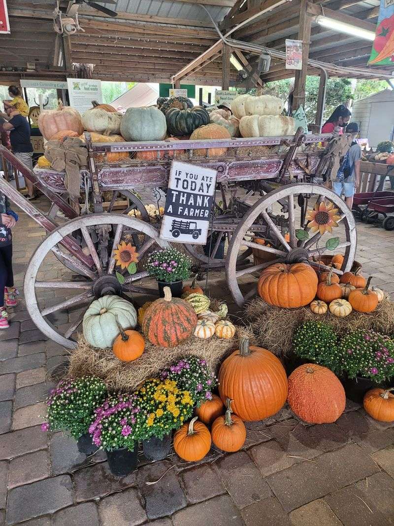 Make A Full Fall Day Of It