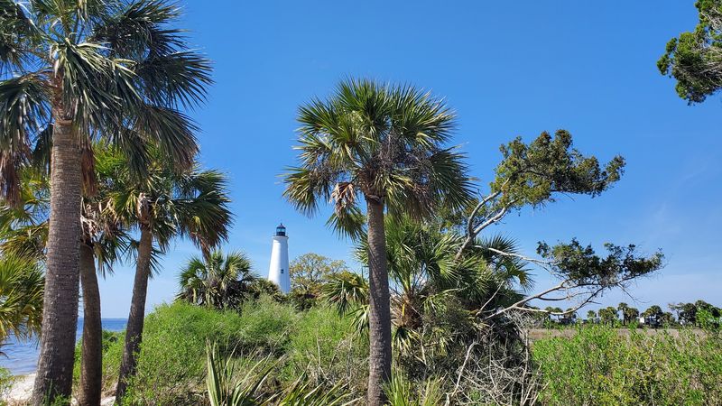 Coastal Trails That Slow You Down
