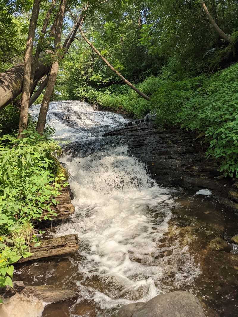 Wilke Glen and Cascade Falls Trail - Osceola