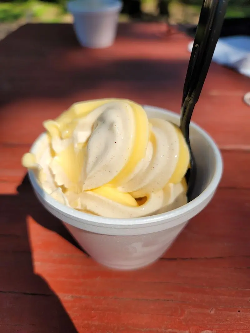 A Cool Scoop Beside a Warm Slice