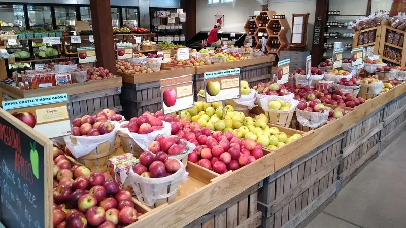 Apple Castle