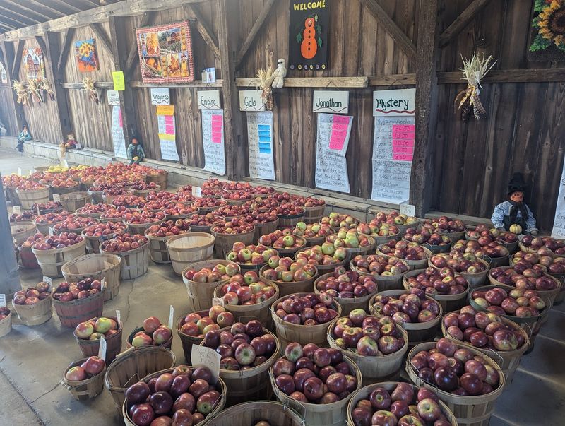 Gavin Orchards - Coopersville