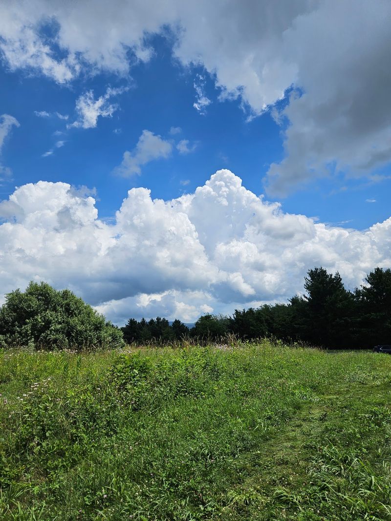 Weather Adds Surprise To Every Visit