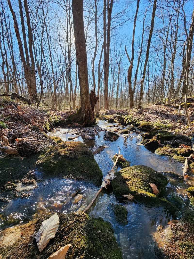 Wolf Rocks Trail, Rector, Westmoreland County,