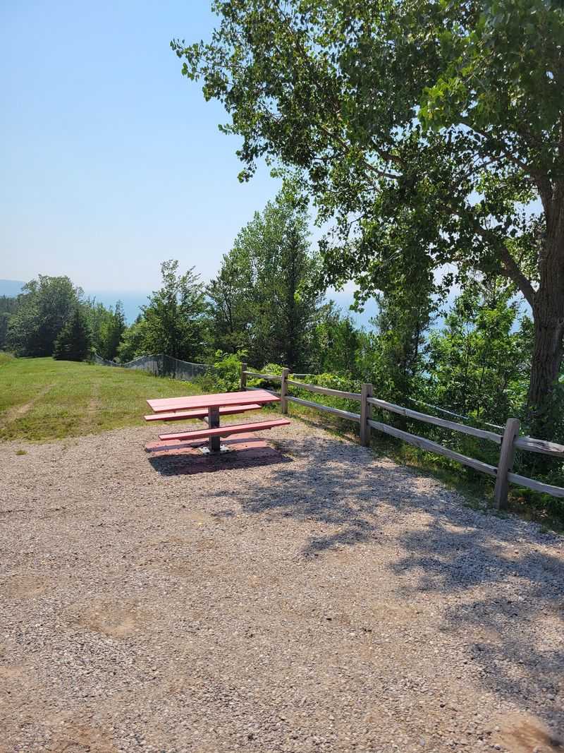 Picnic Tables Make the Pause Taste Better
