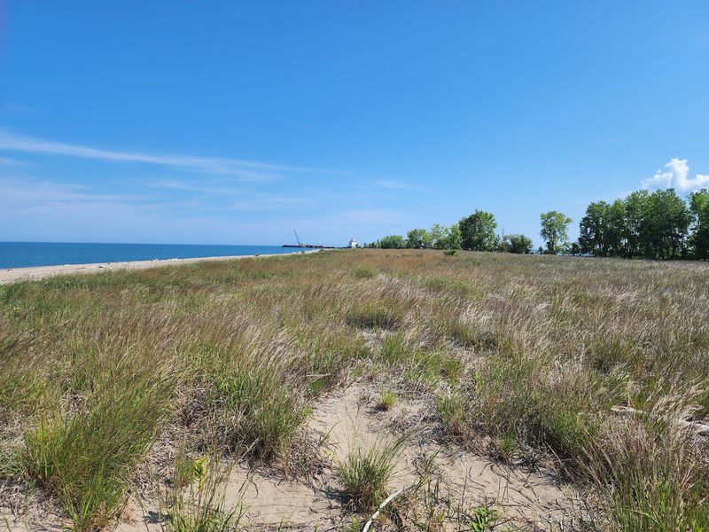 What To Know Before Visiting Headlands Dunes