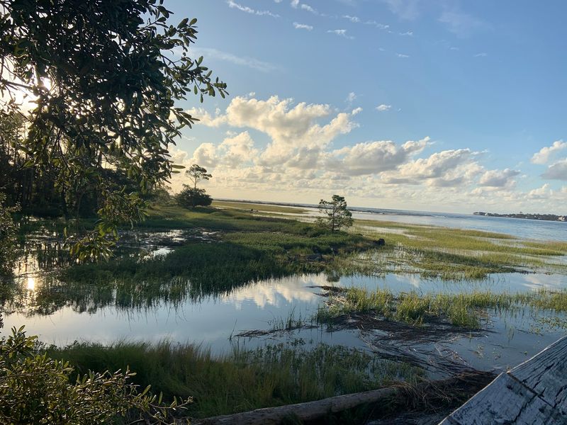 Hunting Island Lagoon Trail - Hunting Island