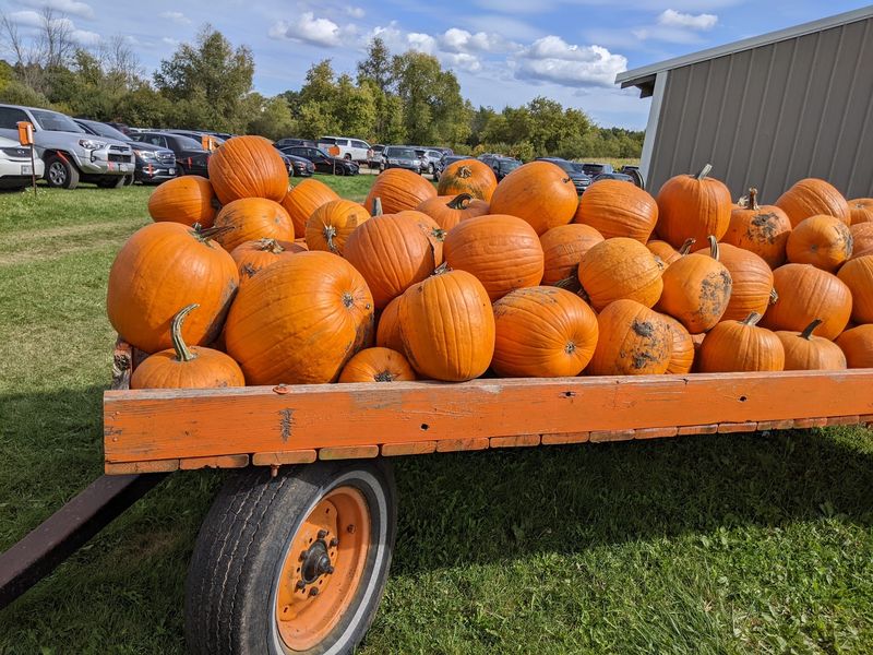 Cedarburg Creek Farm - Cedarburg
