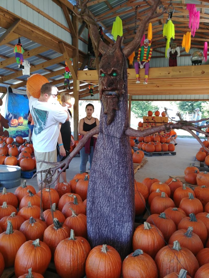 HarvestMoon Fun Farm - Masaryktown