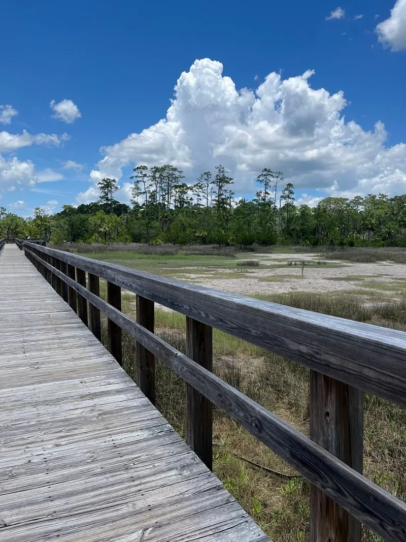 Skidaway Island Sandpiper and Avian Loop Trails, Savannah, Chatham County