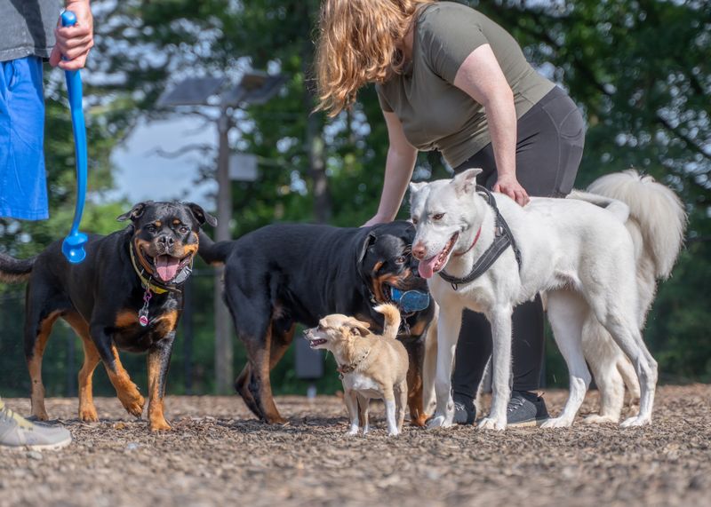 Woofstock Dog Park, Woodstock, Cherokee County